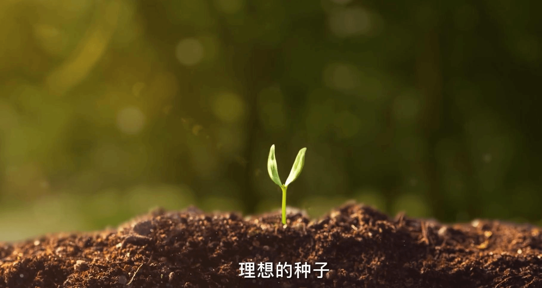 六合彩心水