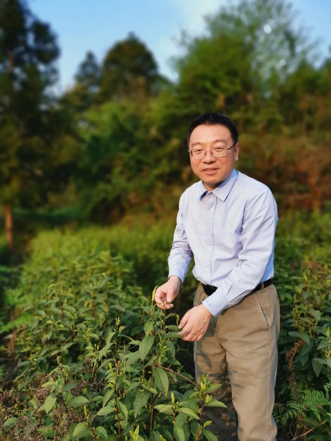 六合彩心水