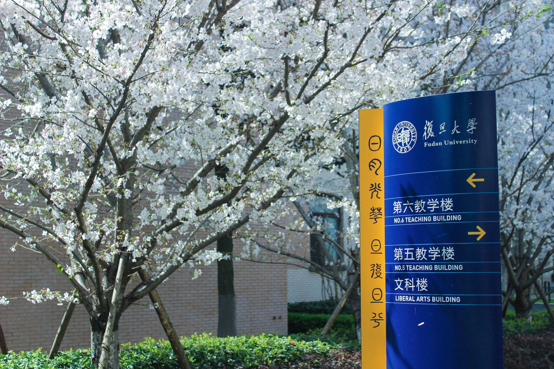 六合彩心水