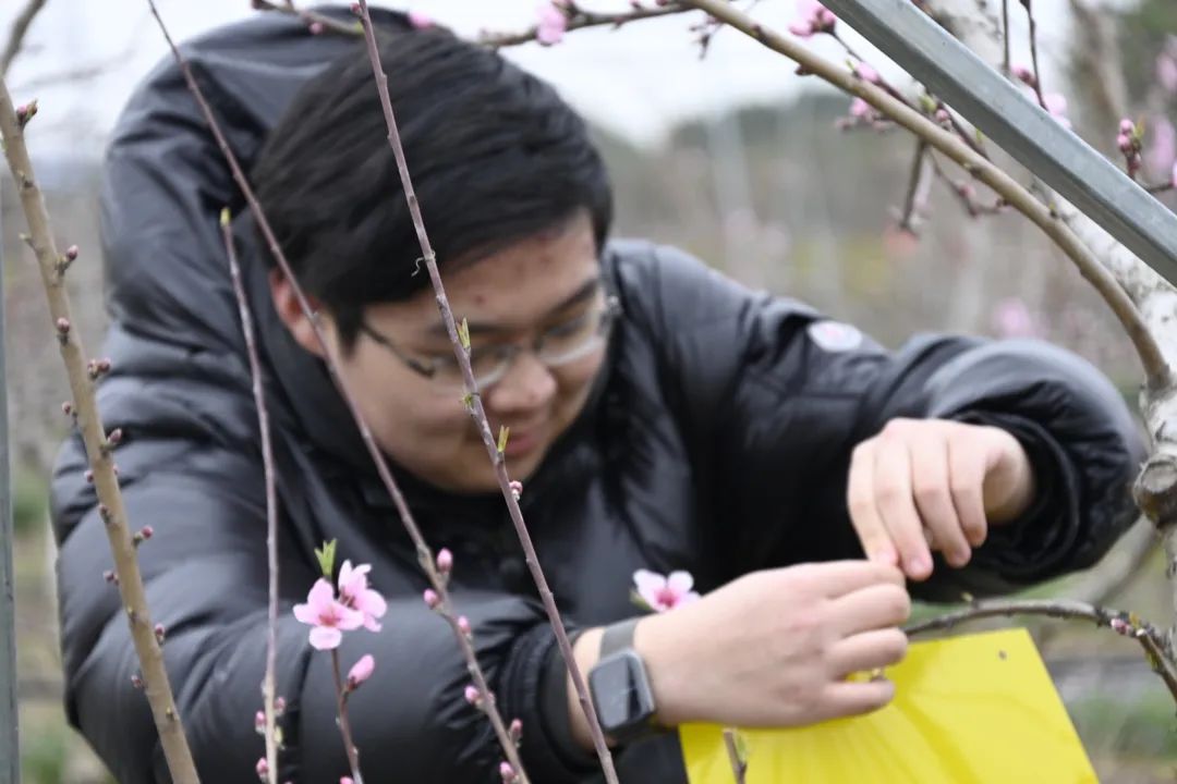 六合彩心水