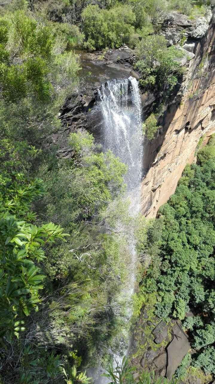 六合彩心水