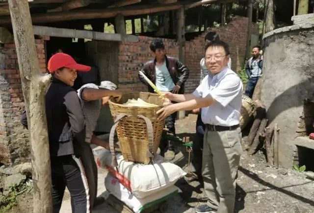 六合彩心水